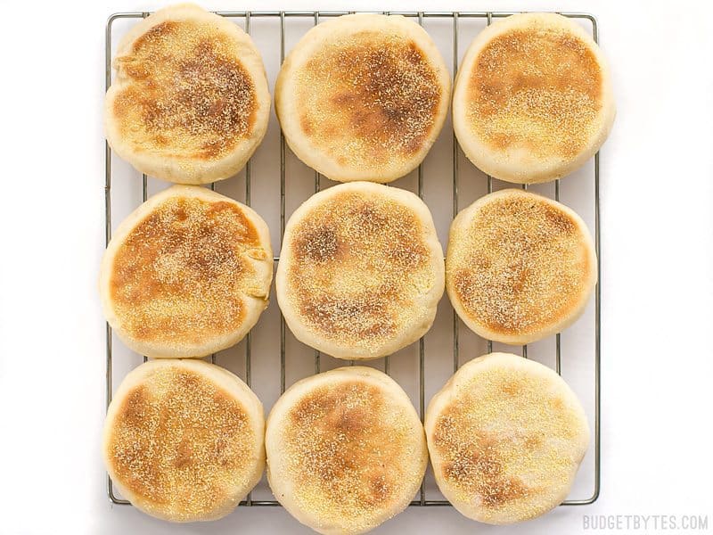 Legendary Homemade English Muffin Recipe – Baking Steel ®
