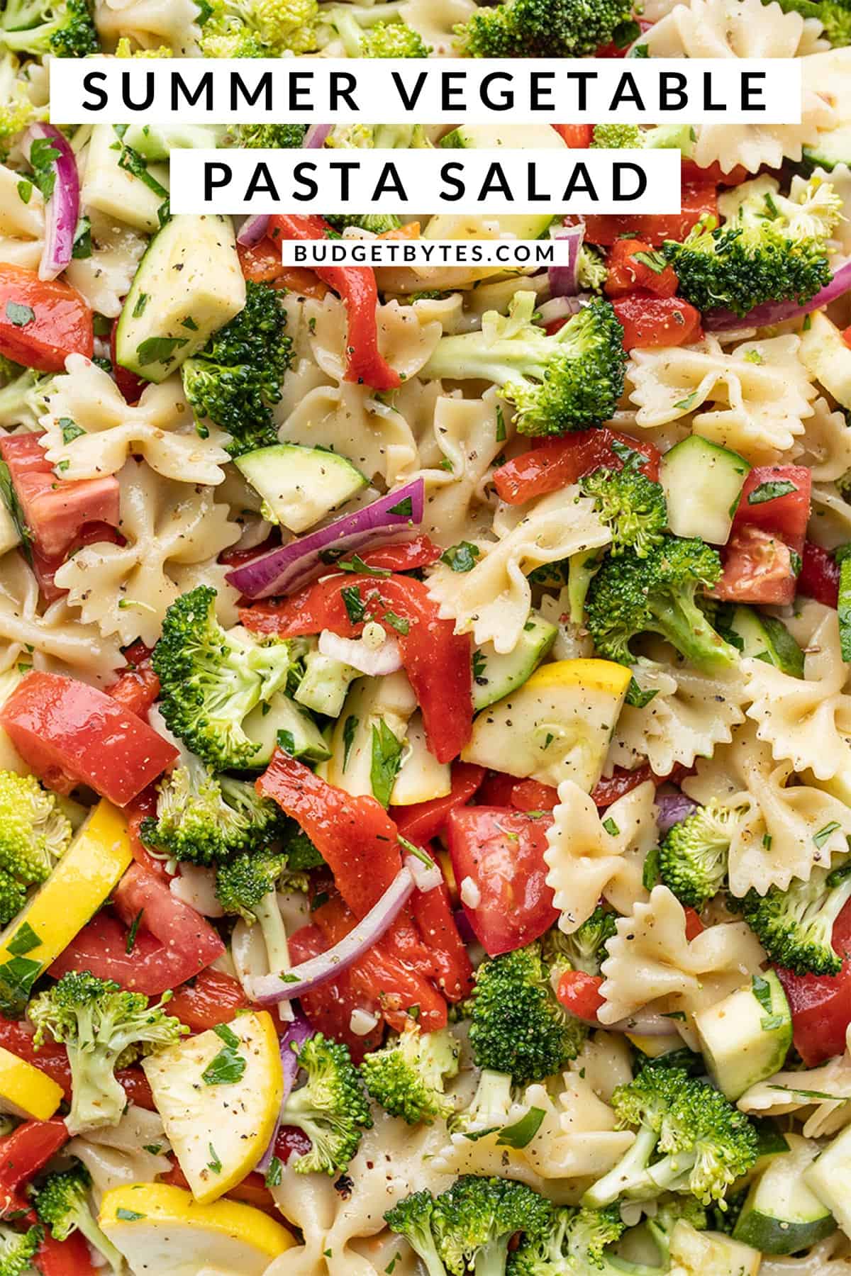 Summer Vegetable Pasta Salad Budget Bytes