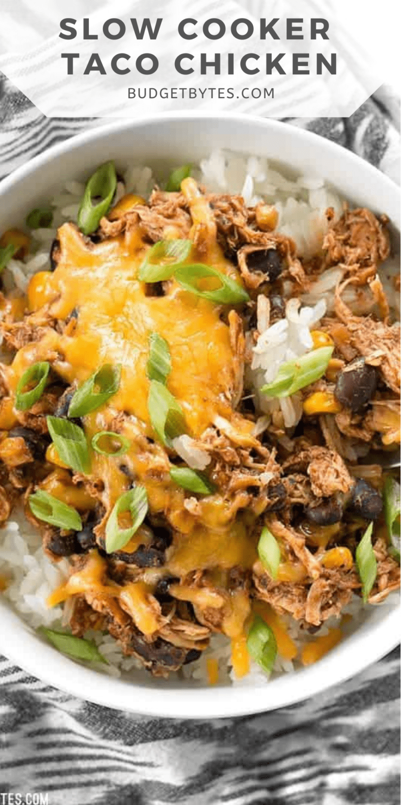 https://www.budgetbytes.com/wp-content/uploads/2011/07/Slow-Cooker-Taco-Chickenn-800x1600.png