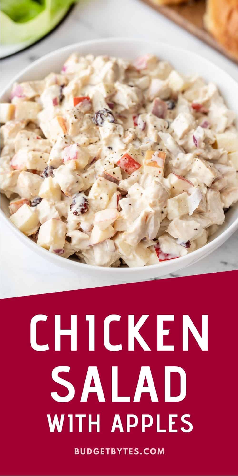 Chicken Salad With Apples And Cranberries Budget Bytes