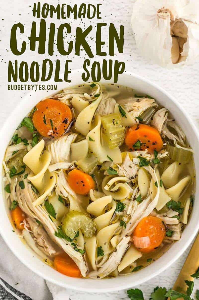 The Best Homemade Chicken Noodle Soup - Budget Bytes