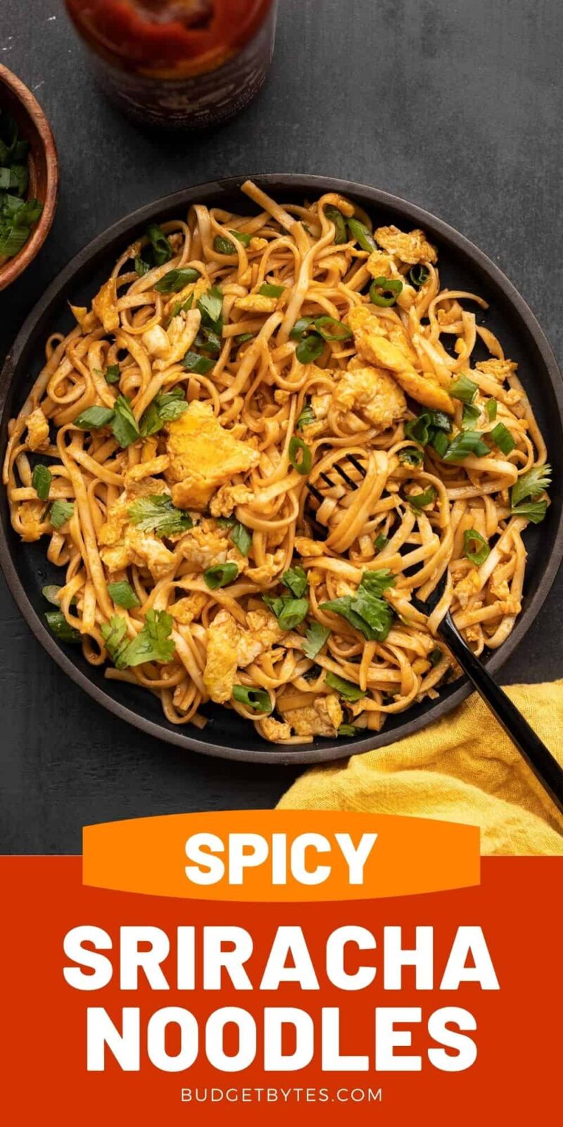 https://www.budgetbytes.com/wp-content/uploads/2012/08/Spicy-Noodles-PIN4-800x1600.jpg