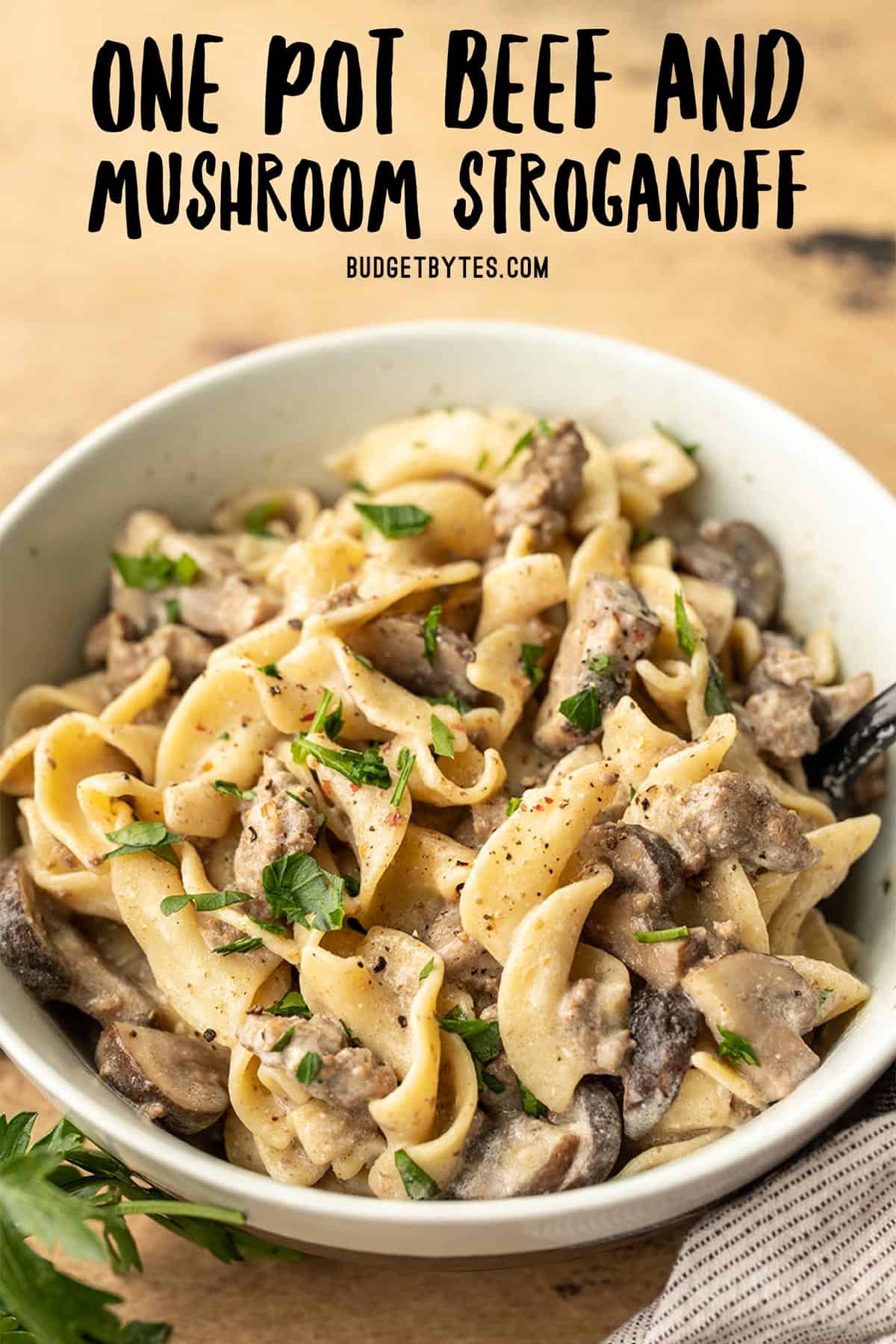 side view of a bowl full of beef and mushroom stroganoff with title text at the top