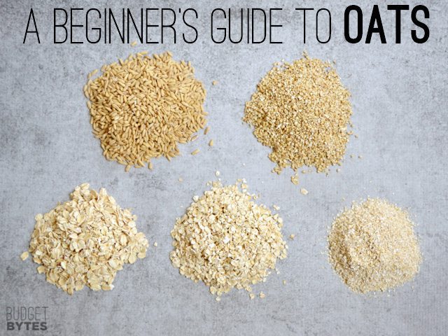 A Beginner's Guide to Oats - Budget Bytes