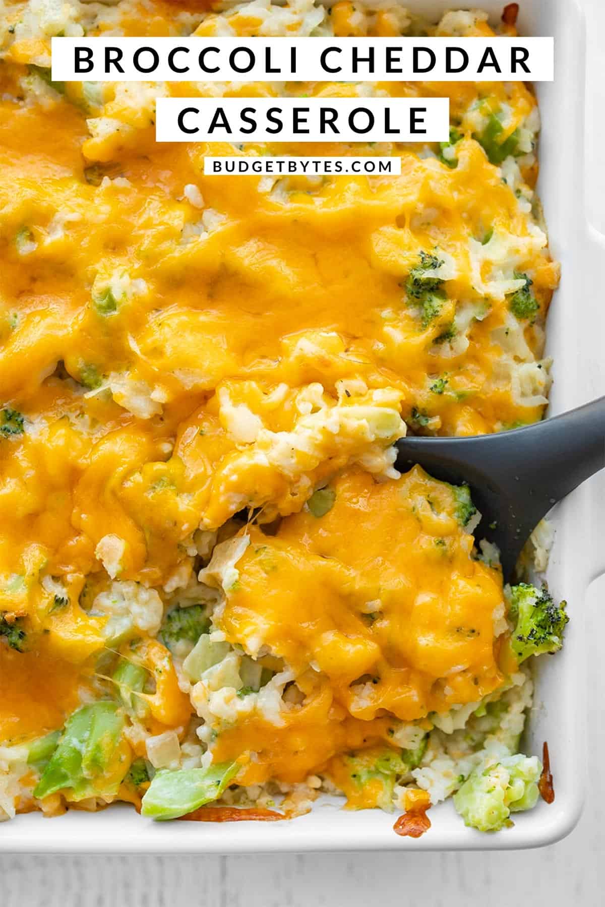 Broccoli Cheddar Casserole - No Condensed Soup! - Budget Bytes