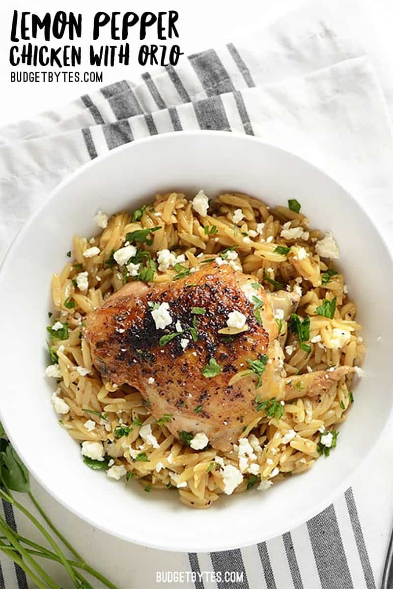 One Pot Lemon Pepper Chicken With Orzo - Budget Bytes