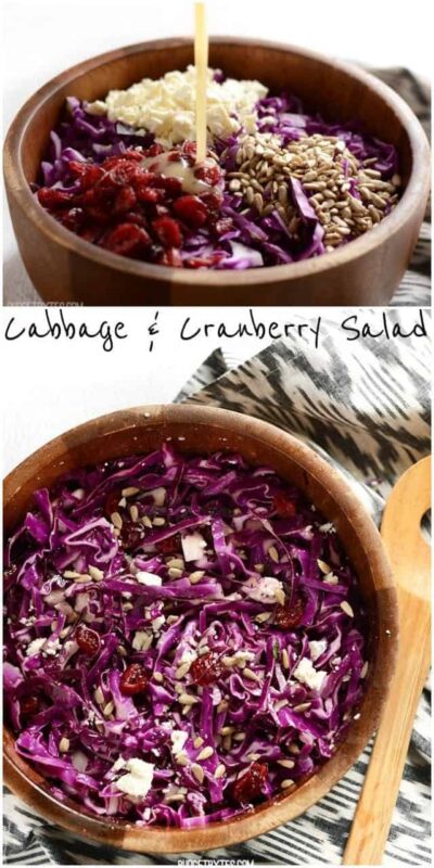 Cranberry and Cabbage Salad Recipe - Budget Bytes