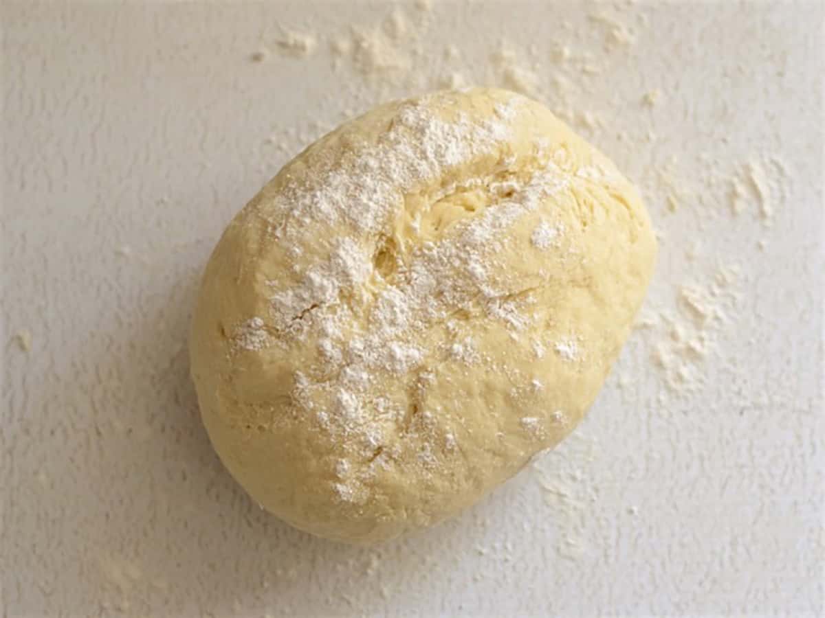 Kneaded naan dough sprinkled with flour. 