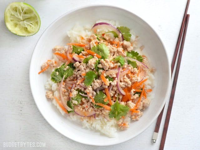 Nam Sod (Thai Pork Salad) Recipe - Budget Bytes