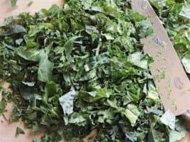 Kale and Salmon Caesar Salad Recipe - Budget Bytes