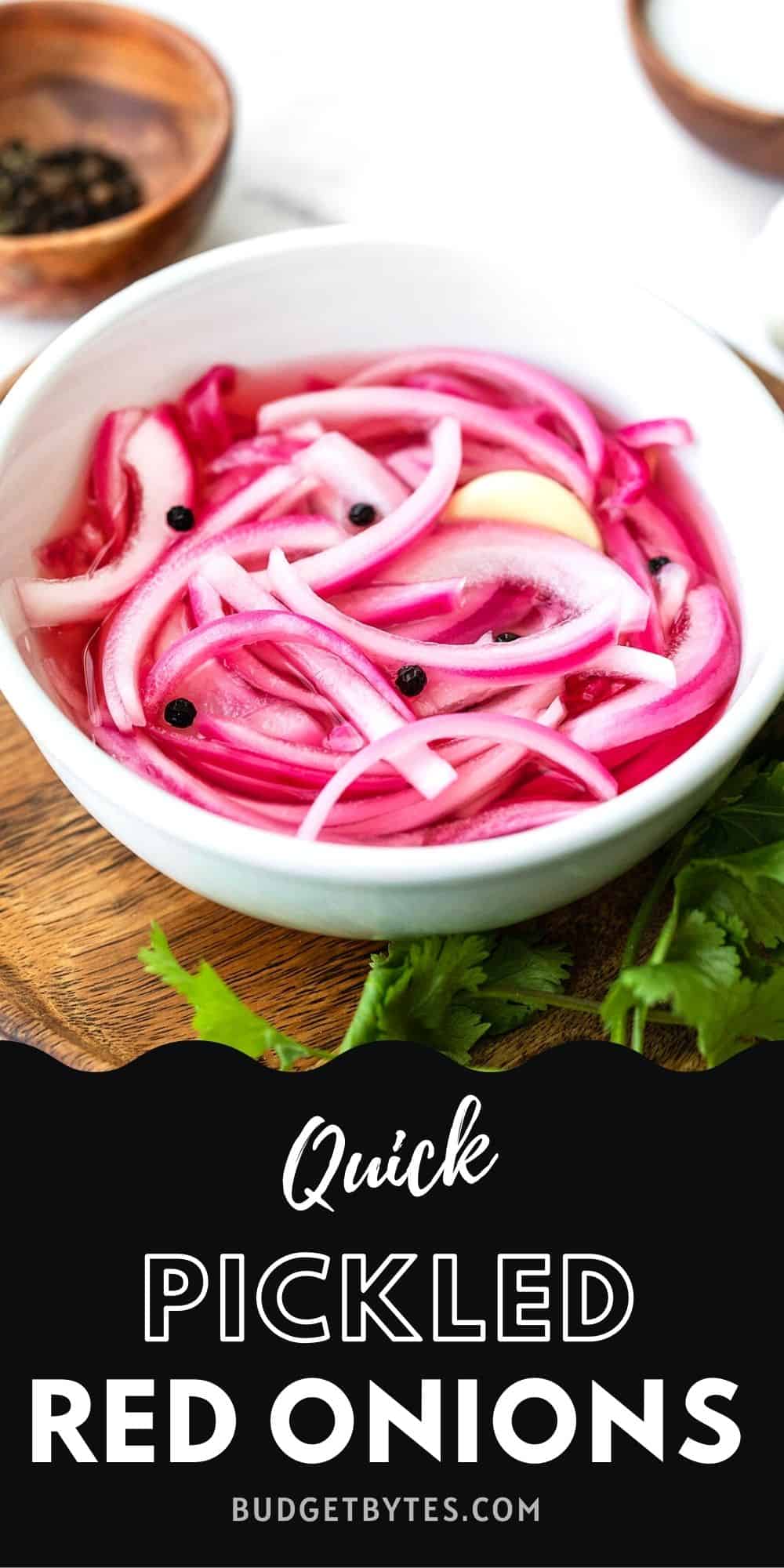 pickled-red-onions-recipe-budget-bytes