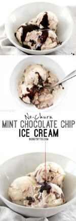 No-Churn Mint Chocolate Chip Ice Cream - Budget Bytes