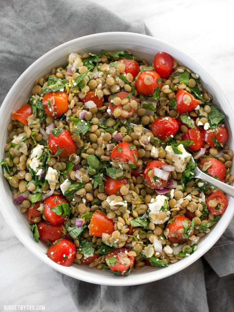 Marinated Lentil Salad Recipe - Budget Bytes