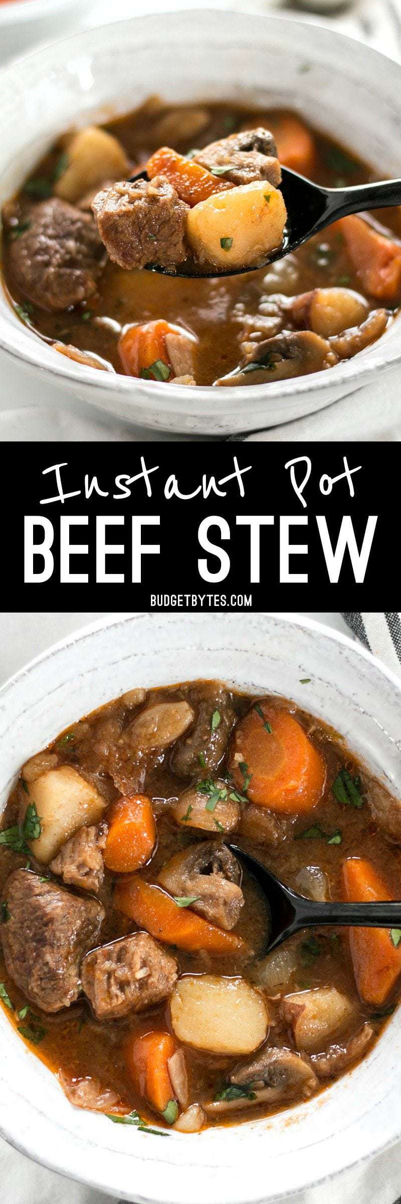 https://www.budgetbytes.com/wp-content/uploads/2017/01/Instant-Pot-Beef-Stew-Collage.jpg