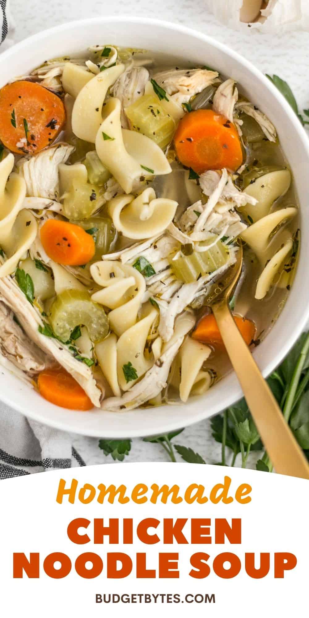 The Best Homemade Chicken Noodle Soup Budget Bytes