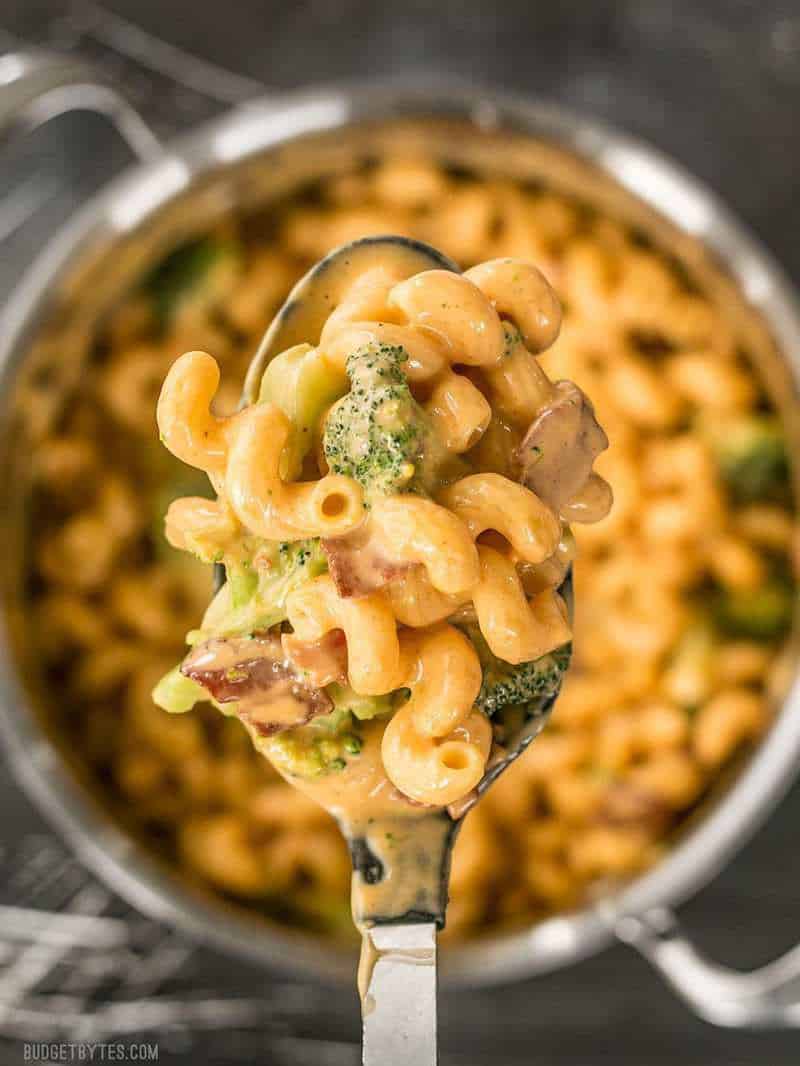https://www.budgetbytes.com/wp-content/uploads/2017/05/One-Pot-Bacon-Broccoli-Mac-and-Cheese-V2.jpg