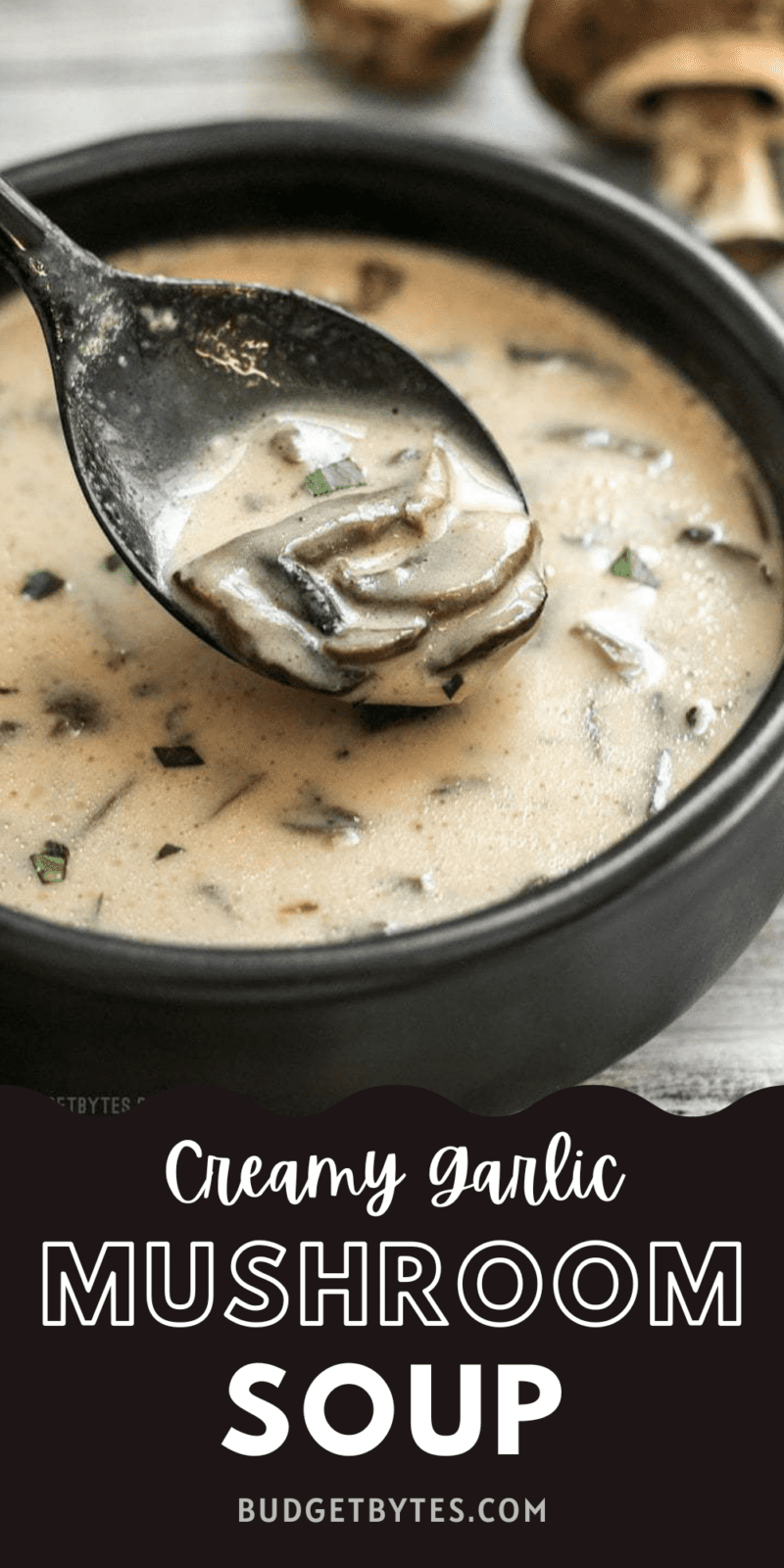 Cream of Mushroom Soup with Garlic Herb Breadcrumbs. - Half Baked