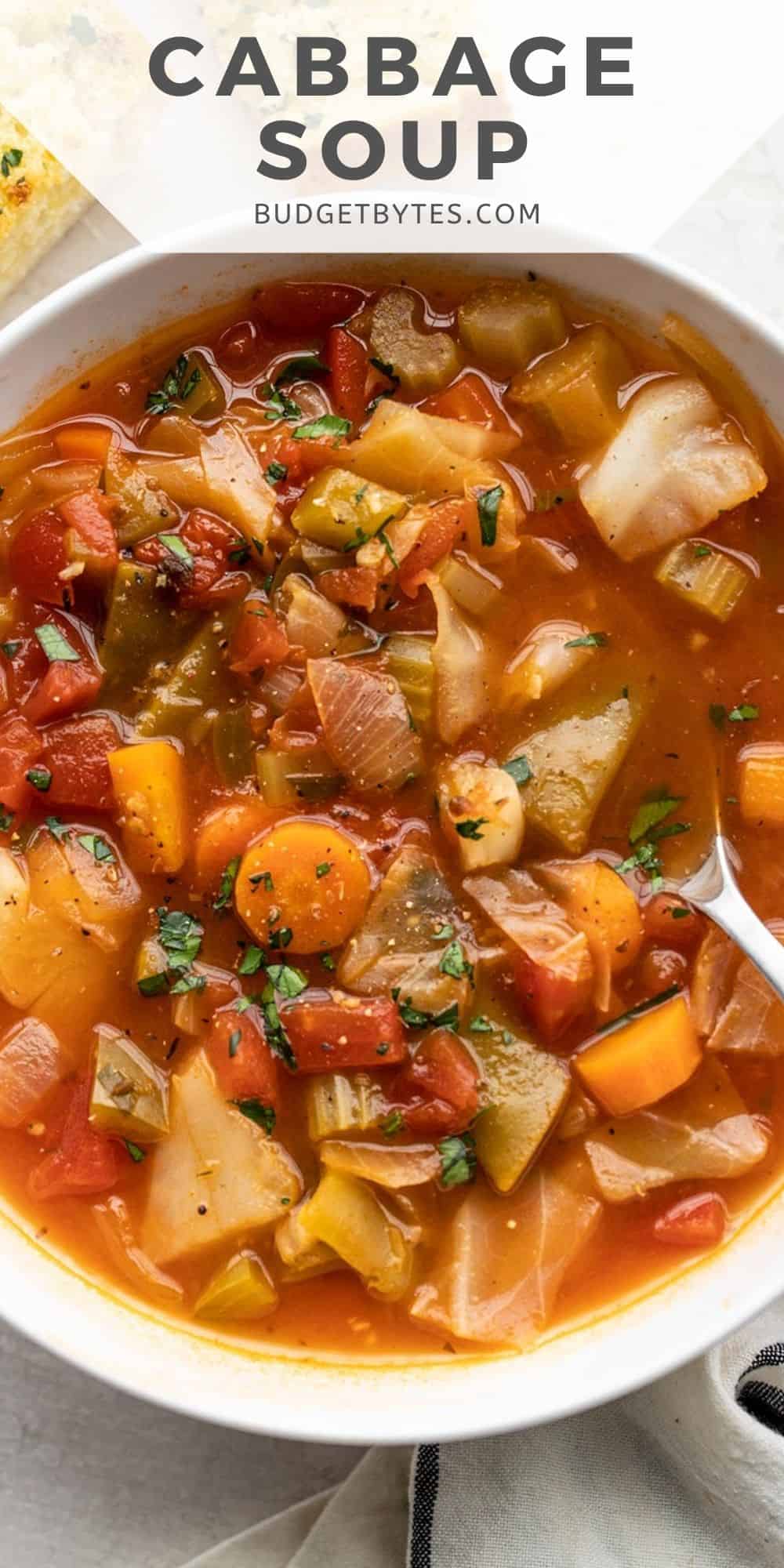 Close up of a bowl of cabbage soup, title text at the top