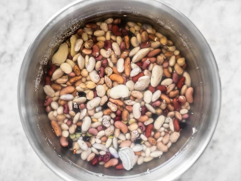 15 Different Types of Beans with Pictures