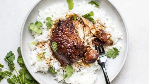 https://www.budgetbytes.com/wp-content/uploads/2018/05/Honey-Hoisin-Garlic-Chicken-H-480x270.jpg