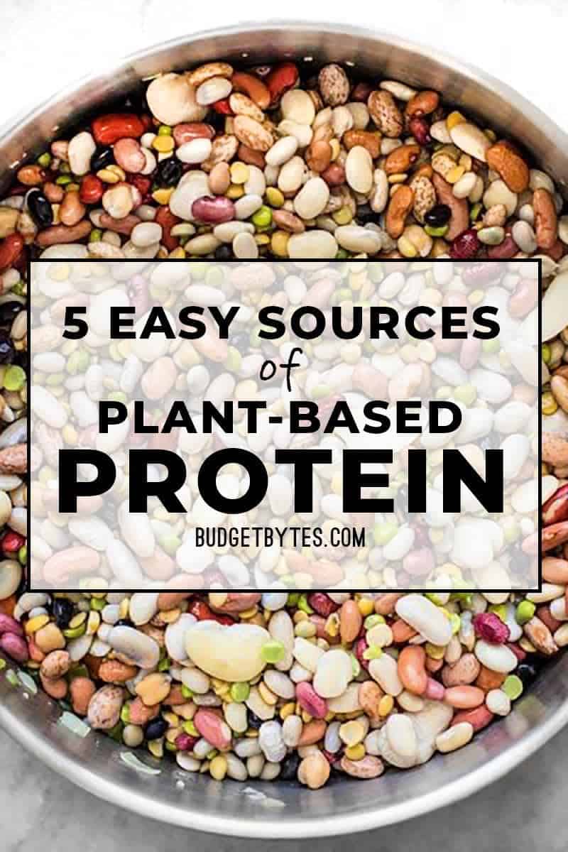 5 Easy Sources of PlantBased Protein Budget Bytes