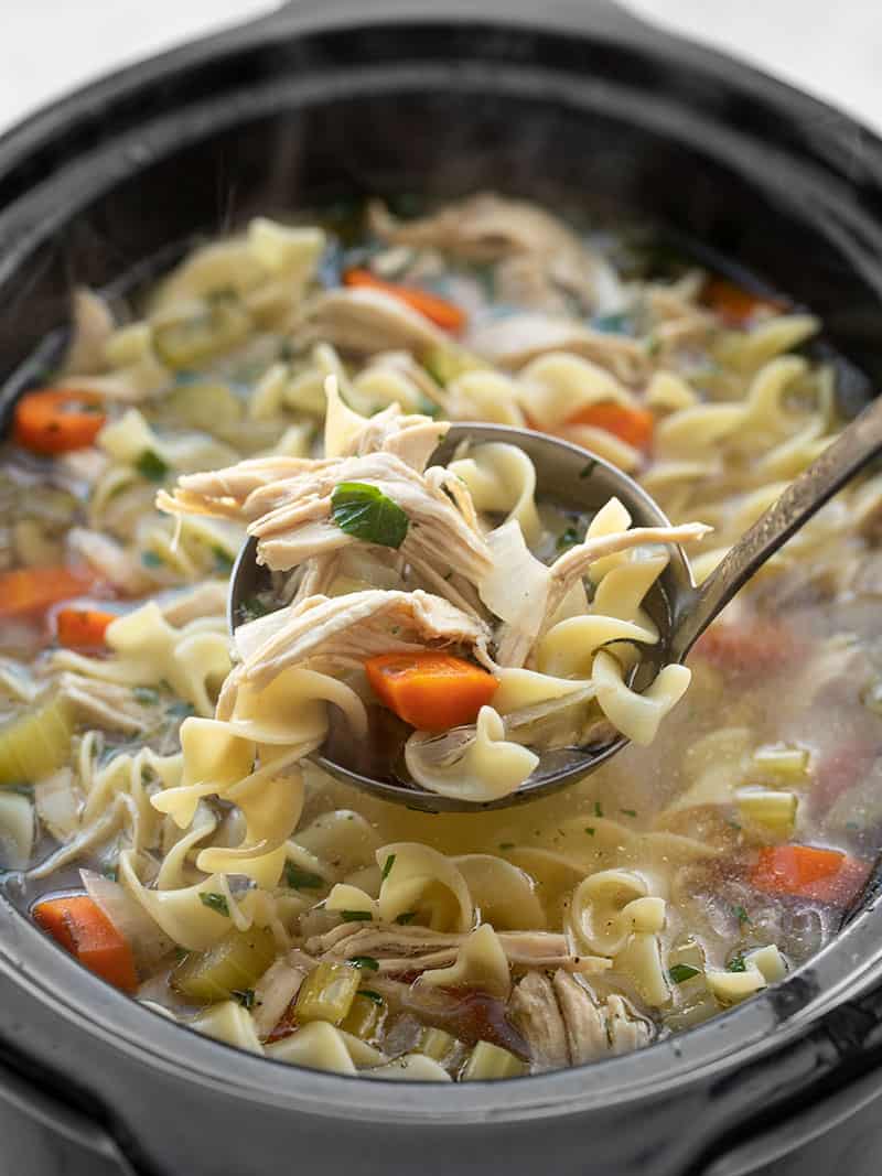 Slow Cooker Chicken Noodle Soup - Budget Bytes