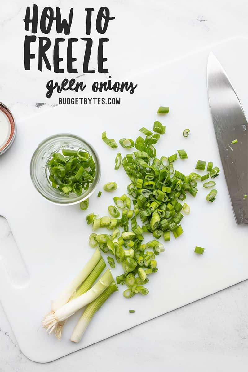 How To Store And Freeze Green Onions Budget Bytes   How To Freeze Green Onions PIN2 