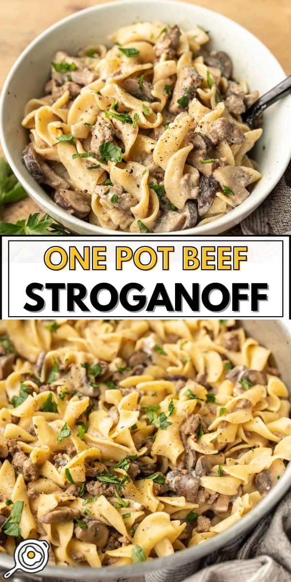 Beef stroganoff pin image