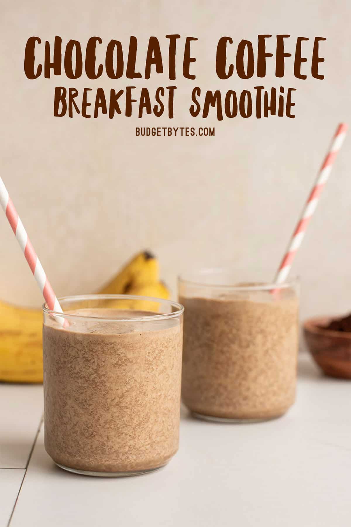 Chocolate Coffee Breakfast Smoothie - Budget Bytes