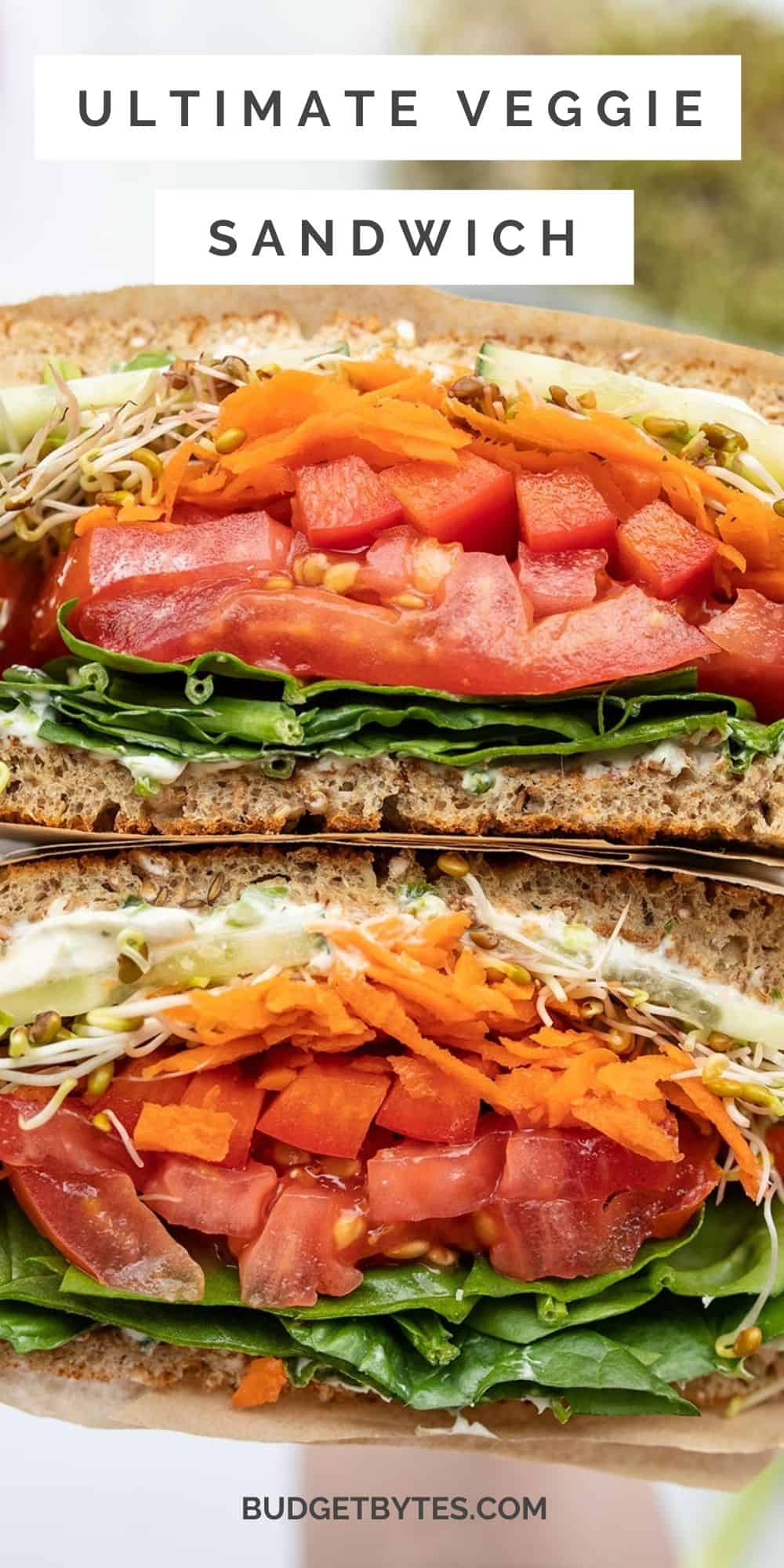 How to Make the Ultimate Veggie Sandwich - Healthy Lifehack Recipes