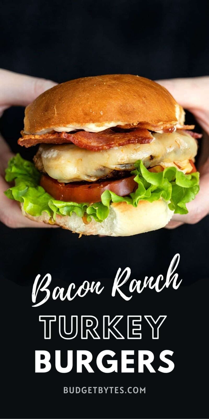 https://www.budgetbytes.com/wp-content/uploads/2021/09/Bacon-Ranch-Turkey-Burgers-PIN3-800x1600.jpg