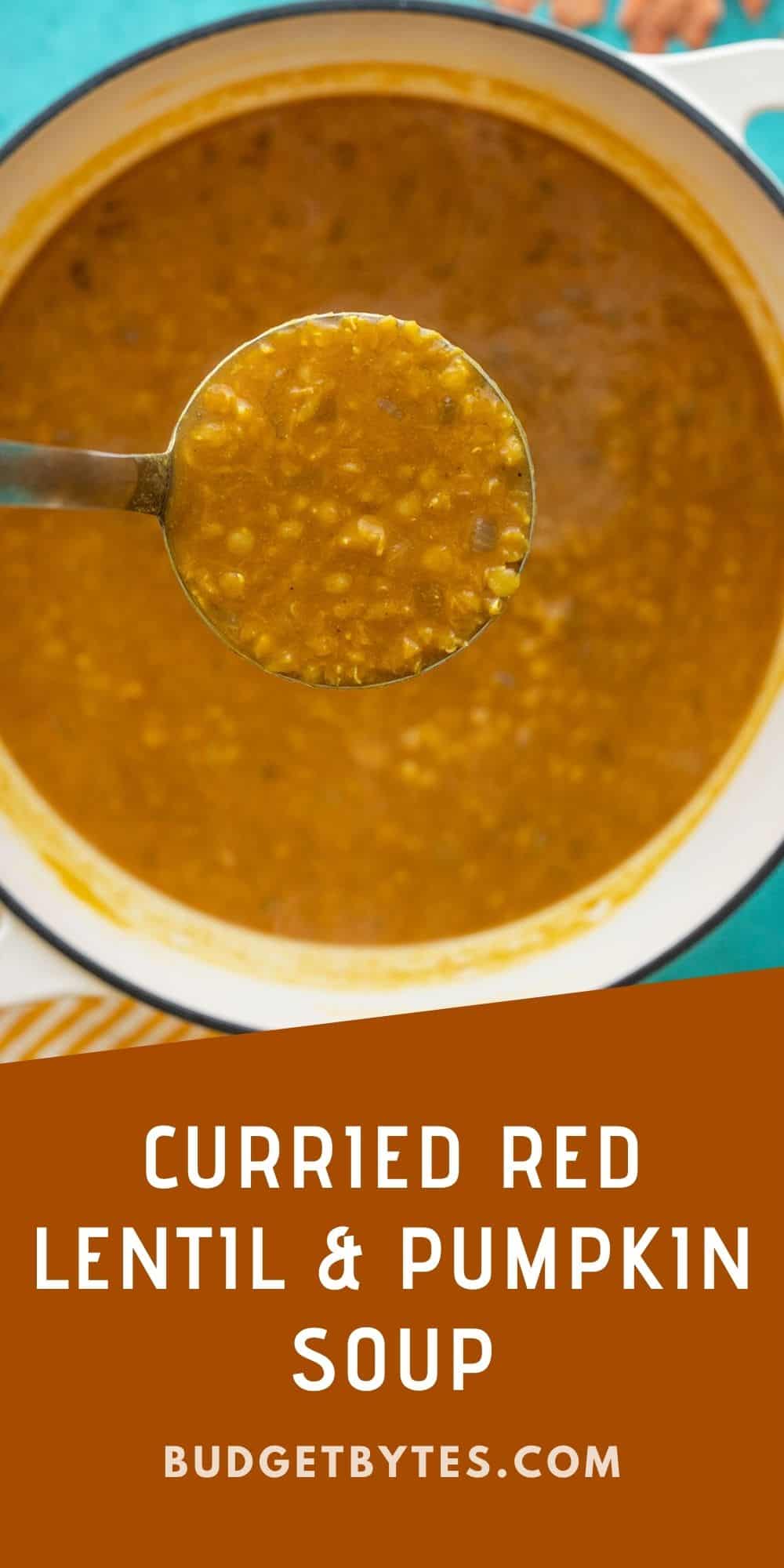 Curried Red Lentil And Pumpkin Soup Healthy Lifehack Recipes