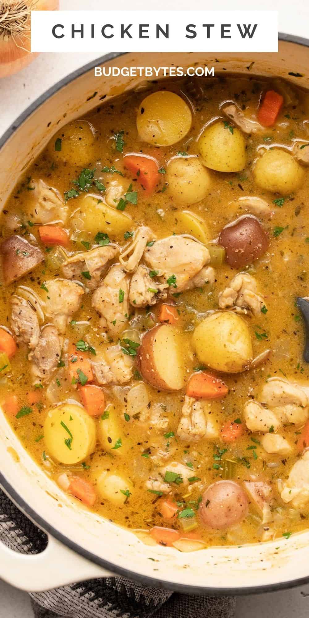 Overhead view of a pot of chicken stew, title text at the top