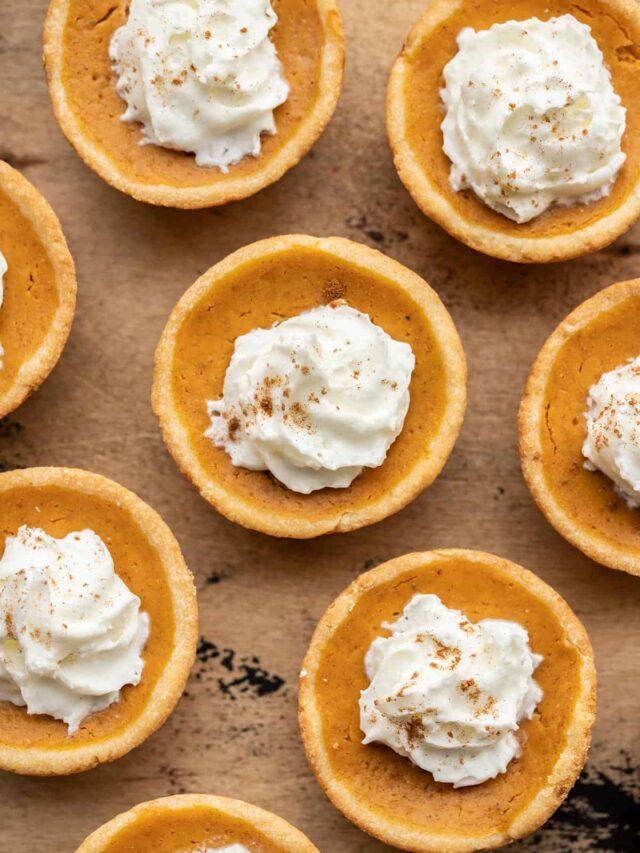 Mini Pumpkin Pies Budget Bytes   Mini Pumpkin Pies Close V 640x853 