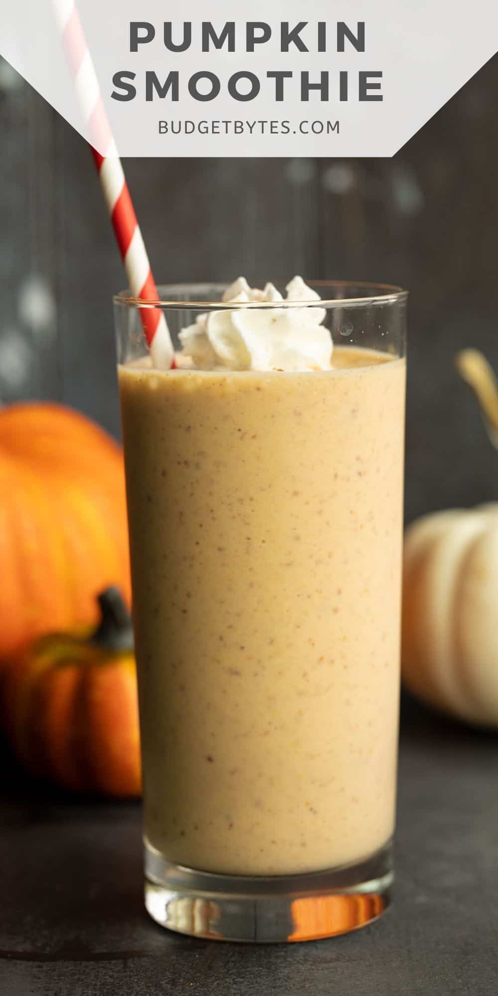 pumpkin-smoothie-budget-bytes