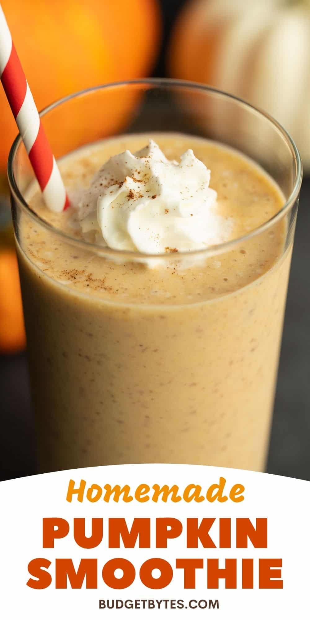 Pumpkin Smoothie - Budget Bytes