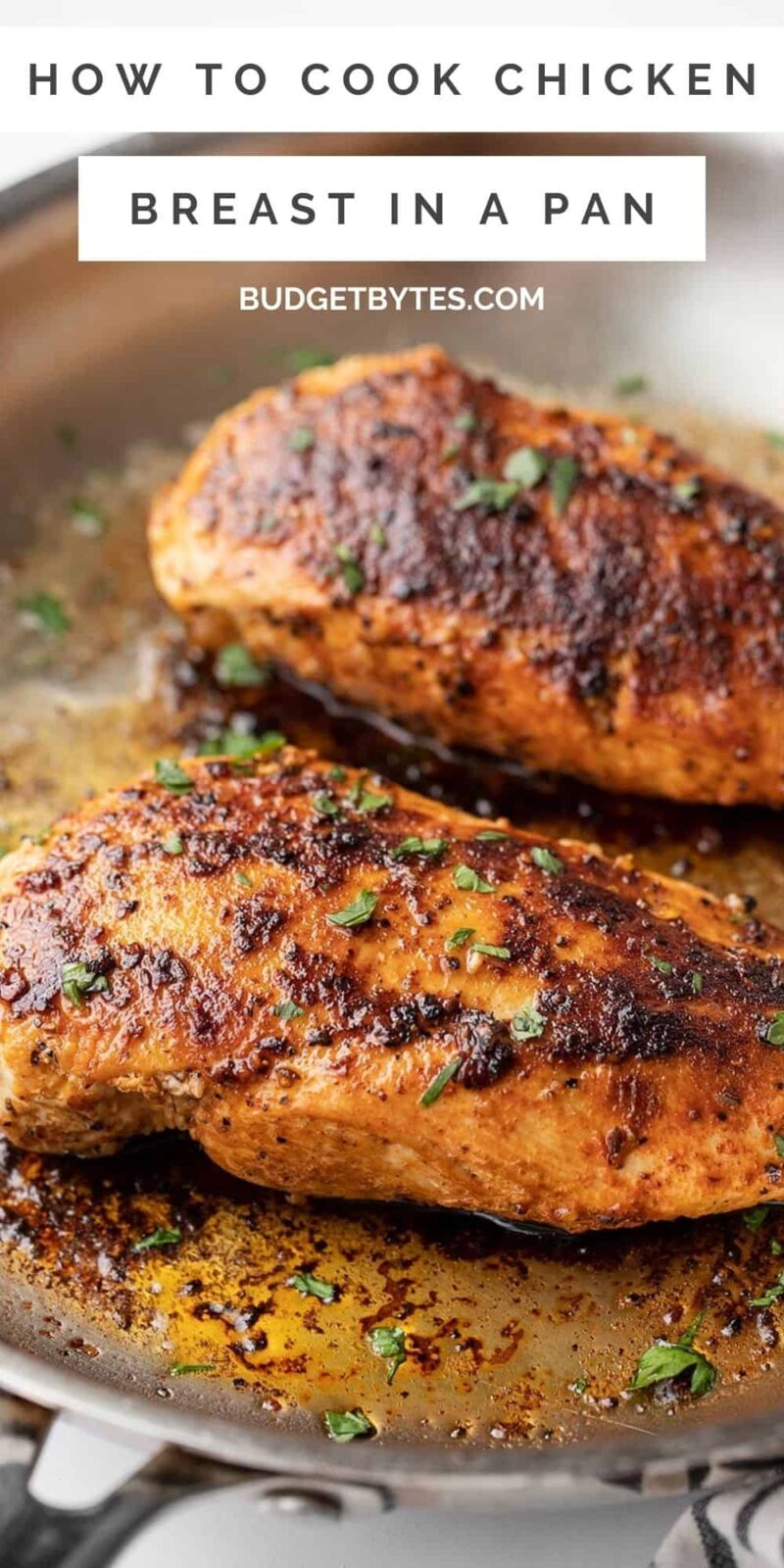 https://www.budgetbytes.com/wp-content/uploads/2021/12/How-to-Cook-Chicken-Breast-in-a-Pan-PIN2-800x1600.jpg