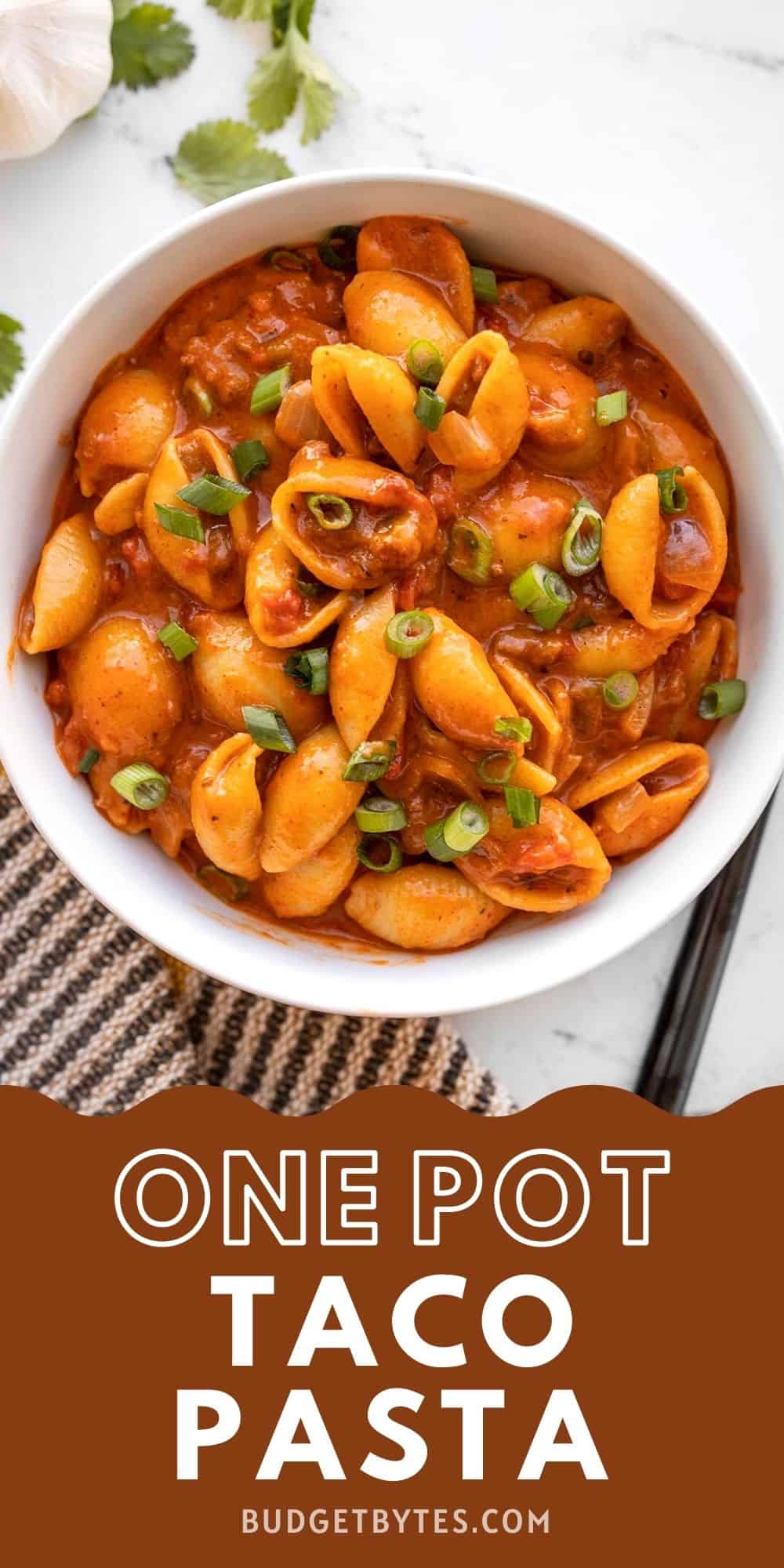 overhead view of a bowl of taco pasta