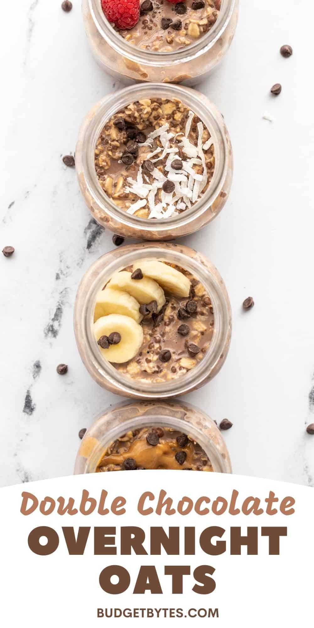 Double Chocolate Overnight Oats Budget Bytes 