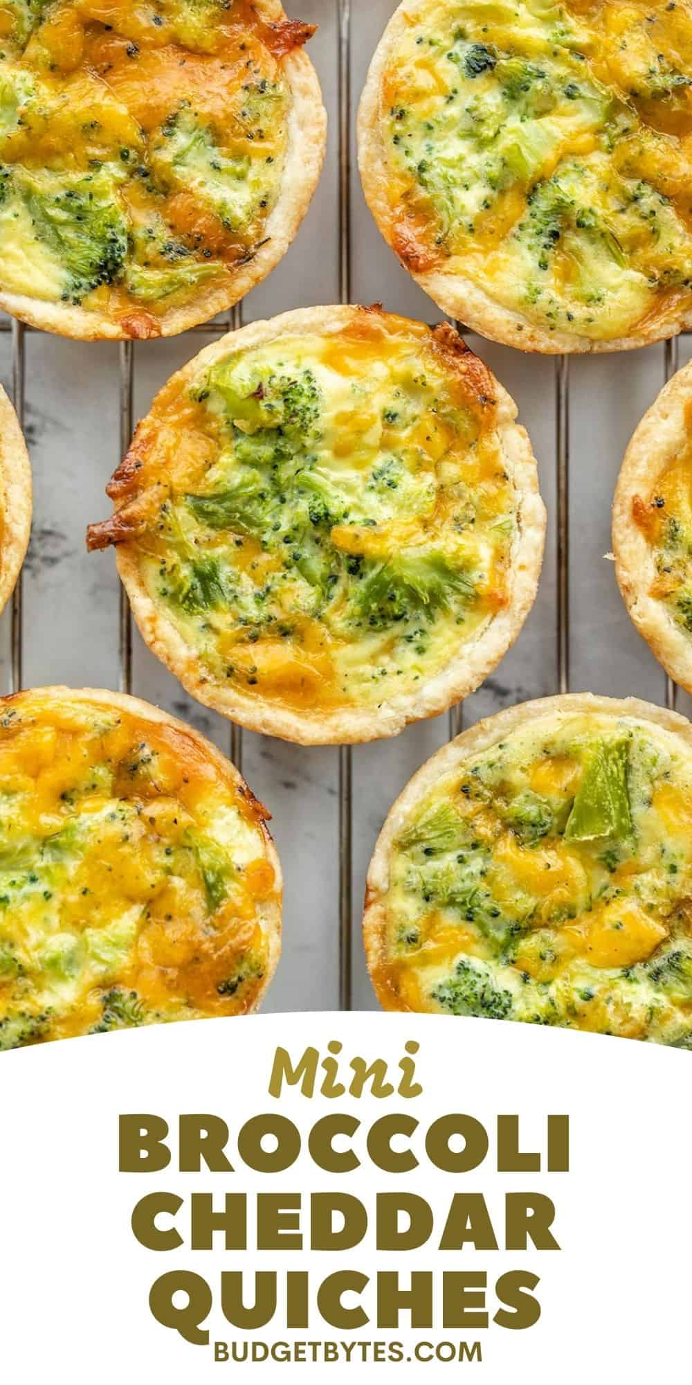 Mini Broccoli Cheddar Quiches Budget Bytes