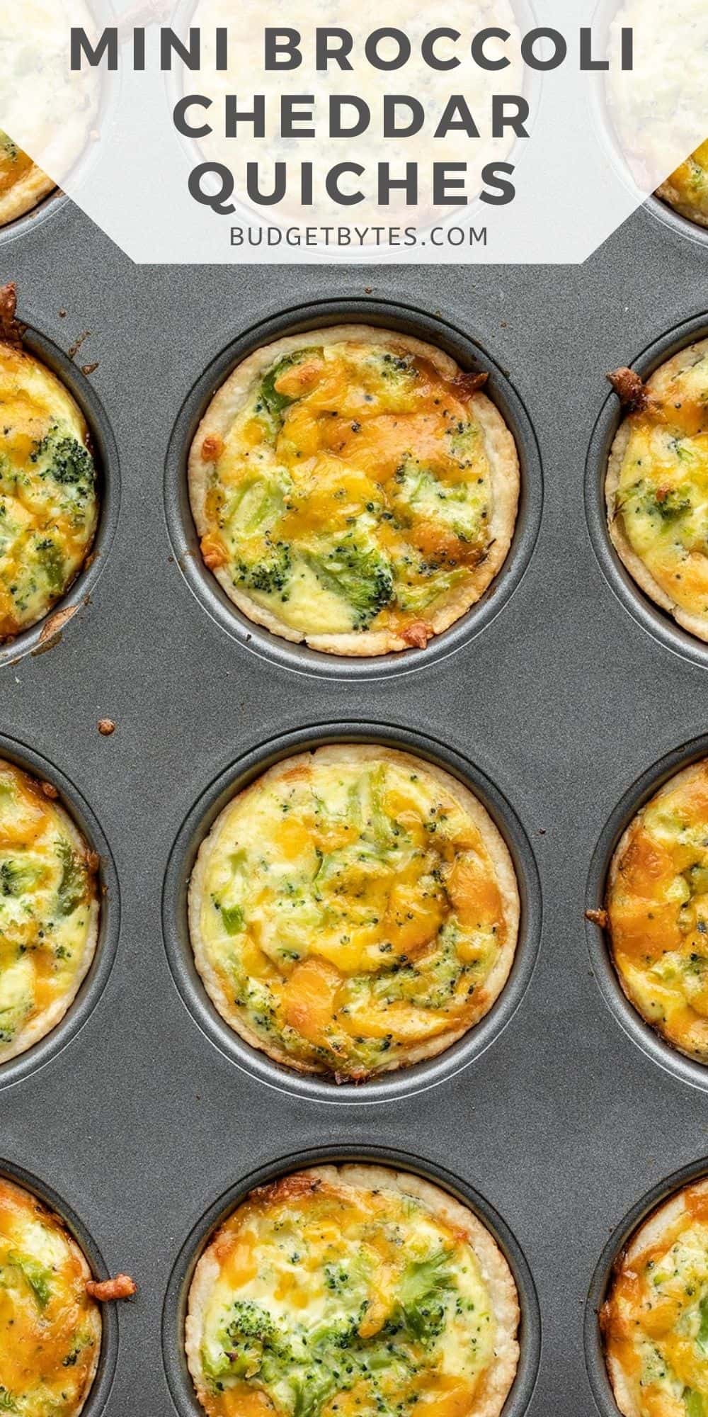 Mini Broccoli Cheddar Quiches - Budget Bytes