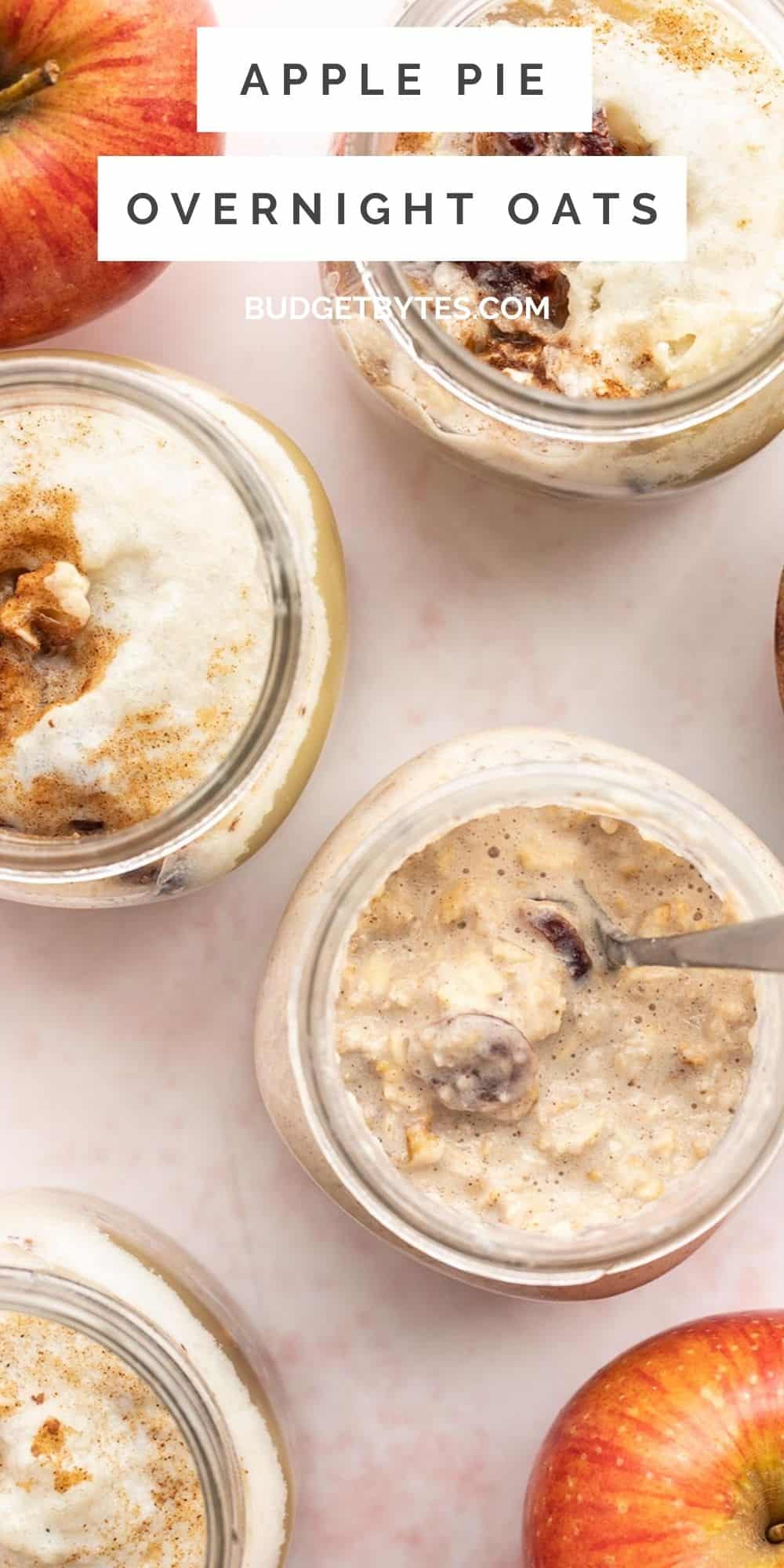 Apple Pie Overnight Oats - Meal Prep - Budget Bytes