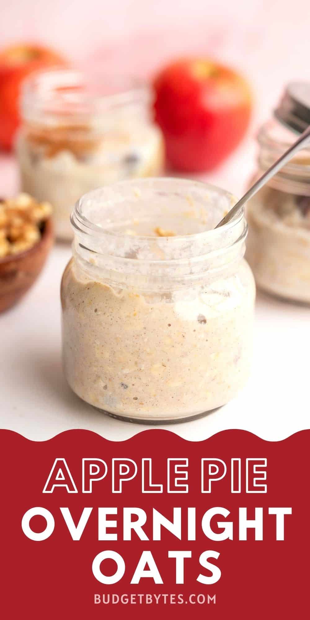 Apple Pie Overnight Oats - Meal Prep - Budget Bytes