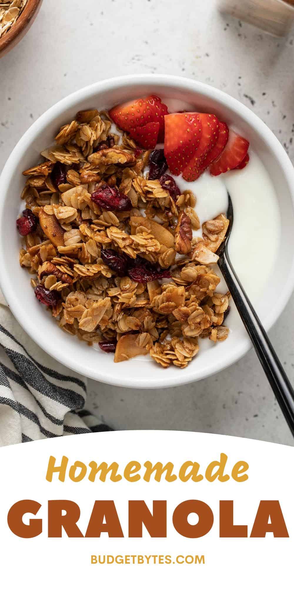 Homemade Granola Recipe Budget Bytes   Homemade Granola PIN3 