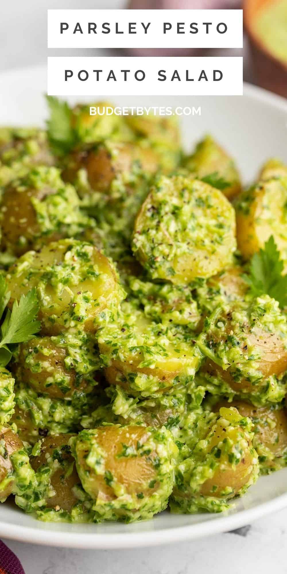 Pesto Potato Salad - Budget Bytes