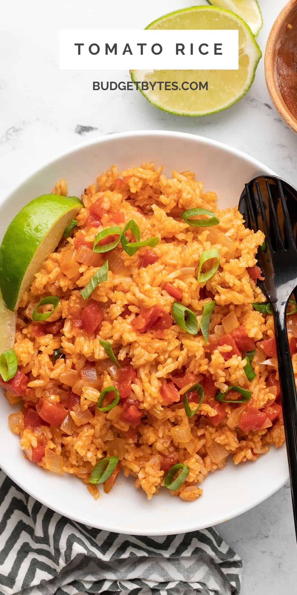 tomato-rice-budget-bytes