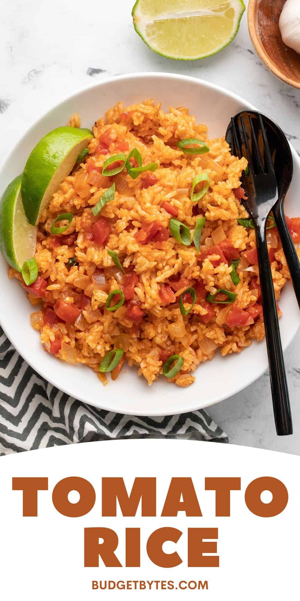 Tomato Rice Budget Bytes   Tomato Rice PIN3 