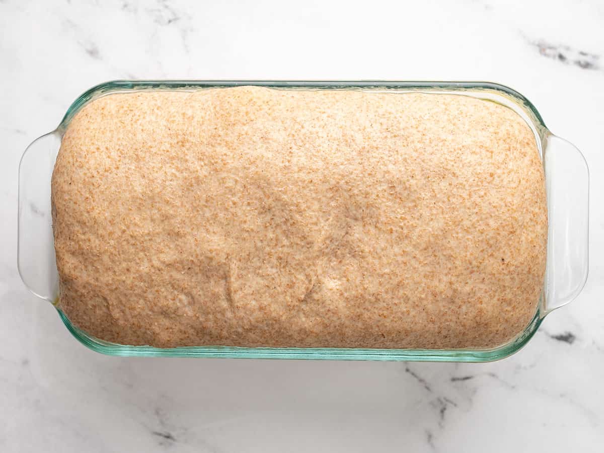 HONEY WHEAT SANDWICH BREAD — THE REGULAR CHEF