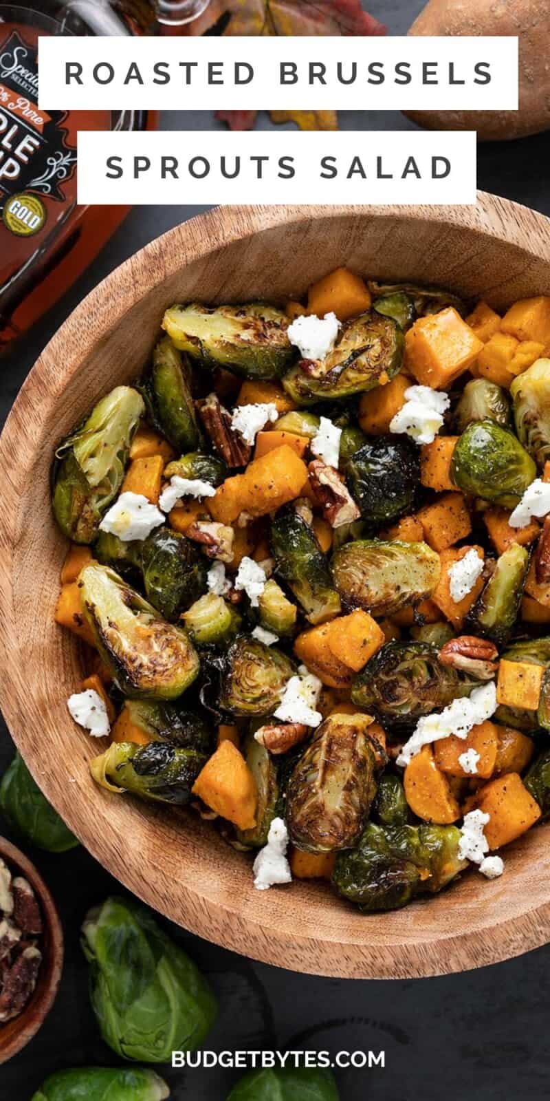 https://www.budgetbytes.com/wp-content/uploads/2022/10/Roasted-Brussels-Sprouts-Salad-PIN2-800x1600.jpg
