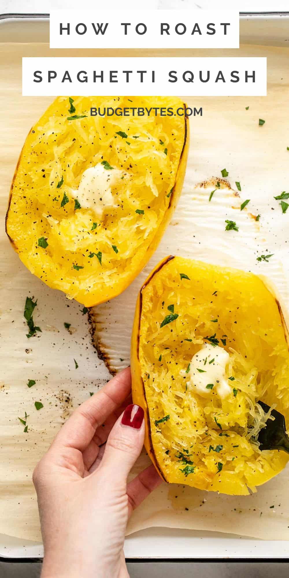 Spaghetti Squash Cook Time 425